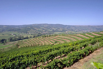 瓦利斯港口查詢(xún)_wallis港口代碼_瓦利斯和富圖納群島瓦利斯港口代碼